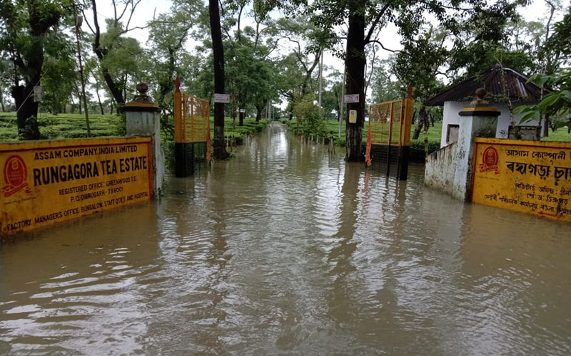 Assam flood | NewsFile Online