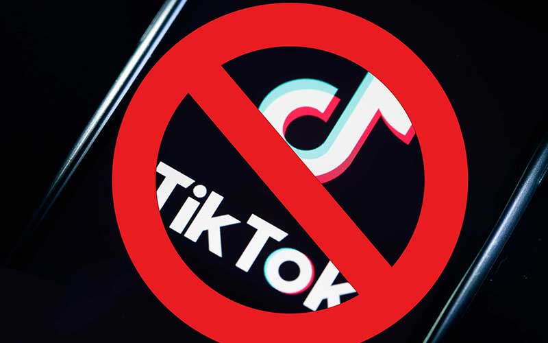 Tik tok banned 1 | NewsFile Online
