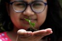 World Environment Day | NewsFile Online