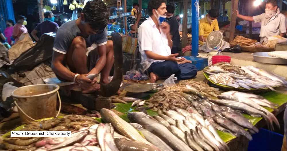 fish market | NewsFile Online